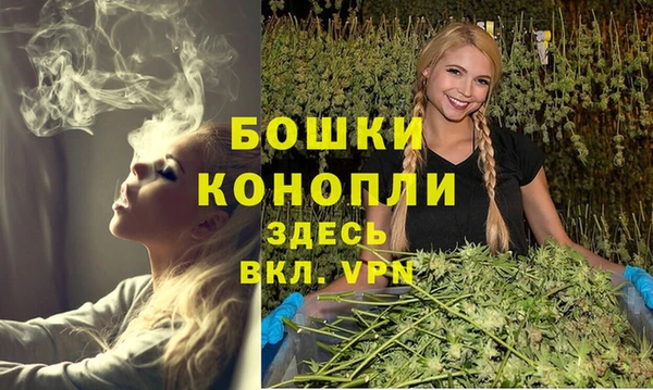 spice Вязники